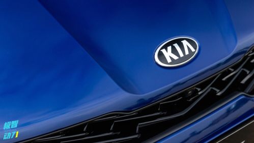 年度汽車可靠性排名生變，銷量王者緣何淪為質(zhì)量洼地？