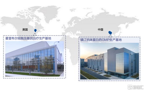 金斯瑞生物科技 營(yíng)收大增81.9%，經(jīng)調(diào)凈利增速超5倍，展現(xiàn)卓越盈利韌性